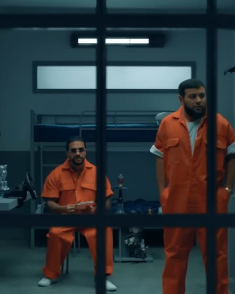 Case NAVAI × TIMATI